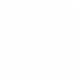 Caspari Graduation Celebration|Bridal Shower|Paper Linen Solid Dinner Napkins in White - 12 Per Package