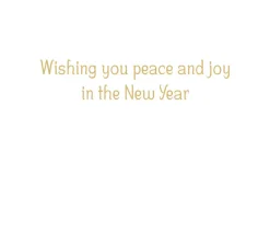 Caspari Christmas And Holiday Cards|Boxed Holiday Cards|Peace Dove With Holly Branch B-Size Boxed Christmas Cards - 15 Cards And Envelopes