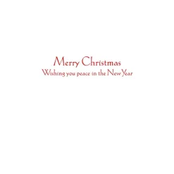 Caspari Christmas And Holiday Cards|Boxed Holiday Cards|Peace Large Boxed Christmas Cards - includes 15 cards & envelopes