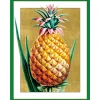Caspari Christmas And Holiday Cards|Boxed Holiday Cards|Pineapple Classic Boxed Christmas Cards - includes 15 cards & envelopes