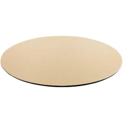 Caspari Placemats|Paper Placemats|Platinum Lizard Felt-Backed Placemats - 1 Each