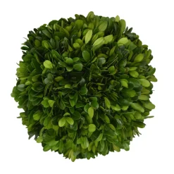 Mills Floral Christmas Decor|The Boxwood Shop|Preserved Boxwood Ball- 6"