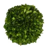 Mills Floral Christmas Decor|The Boxwood Shop|Preserved Boxwood Ball- 8"