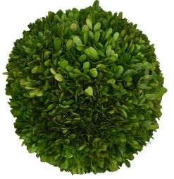 Mills Floral Christmas Decor|The Boxwood Shop|Preserved Boxwood Ball- 10"