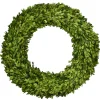 Mills Floral Christmas Decor|The Boxwood Shop|Preserved Boxwood Country Manor Wreath- 20" Round