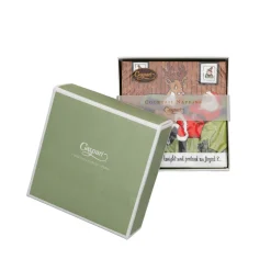 Caspari Boxed Cocktail Napkins|Santa At Home Boxed Cocktail Napkins - includes 12 Boxed Cocktail Napkins