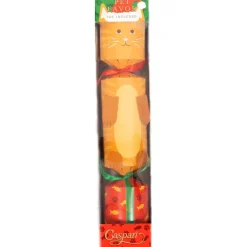 Caspari Christmas Crackers|Santa Hat Cat Pet Favors - includes 1 Pet Favors