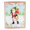Caspari Christmas And Holiday Cards|Boxed Holiday Cards|Santa With Botanical Border A-Size Boxed Christmas Cards - 15 Cards And Envelopes