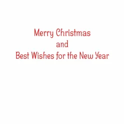 Caspari Christmas And Holiday Cards|Boxed Holiday Cards|Santa With Botanical Border A-Size Boxed Christmas Cards - 15 Cards And Envelopes