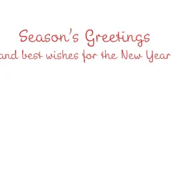 Personalization by Caspari Personalized Holiday Cards|Personalized Christmas Cards|Season's Greetings Of Greenery Personalized Christmas Cards