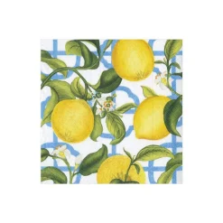 Caspari Paper Cocktail Napkins|Seville Paper Cocktail Napkins in Ivory - 20 Per Package