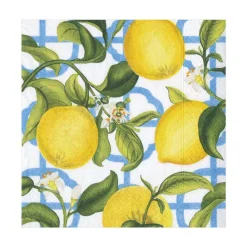 Caspari Paper Luncheon Napkins|Seville Paper Luncheon Napkins in Ivory - 20 Per Package