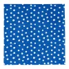 Caspari Paper Luncheon Napkins|Small Dots Royal Blue Luncheon Napkins - 20 Per Package