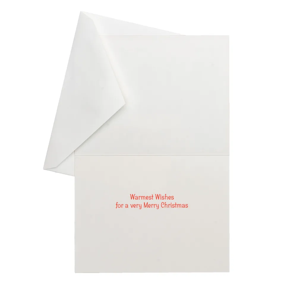 Caspari Christmas And Holiday Cards|Boxed Holiday Cards|Snow Fun Classic Boxed Christmas Cards - includes 15 cards & envelopes