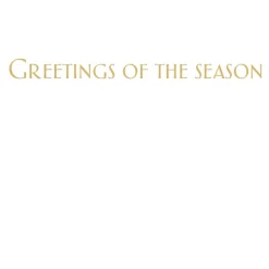 Caspari Christmas And Holiday Cards|Boxed Holiday Cards|Snowy Tree In The Night Classic Boxed Christmas Cards - includes 15 cards & envelopes