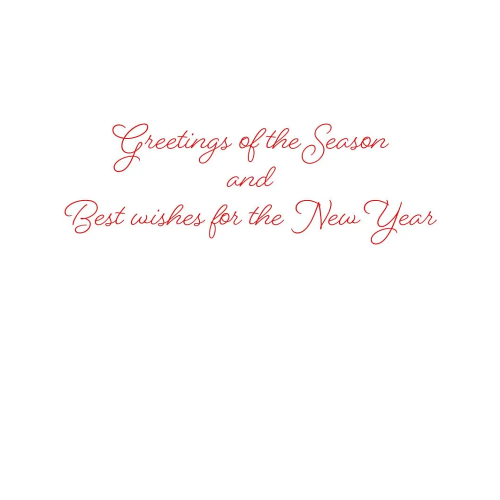 Caspari Christmas And Holiday Cards|Boxed Holiday Cards|Snowy Tree with Cardinal Petite Boxed Christmas Cards - includes 15 cards & envelopes