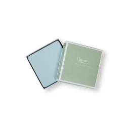 Caspari Coasters|Soft Aqua Lizard Coasters - 8 Per Package