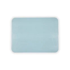 Caspari Baby Shower|Placemats|Soft Aqua Lizard Placemat - 1 Per Package