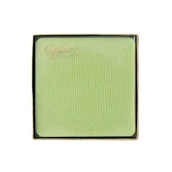 Caspari Cocktail Party|Mother'S Day|Square Lizard Coasters in Green - 8 Per Box