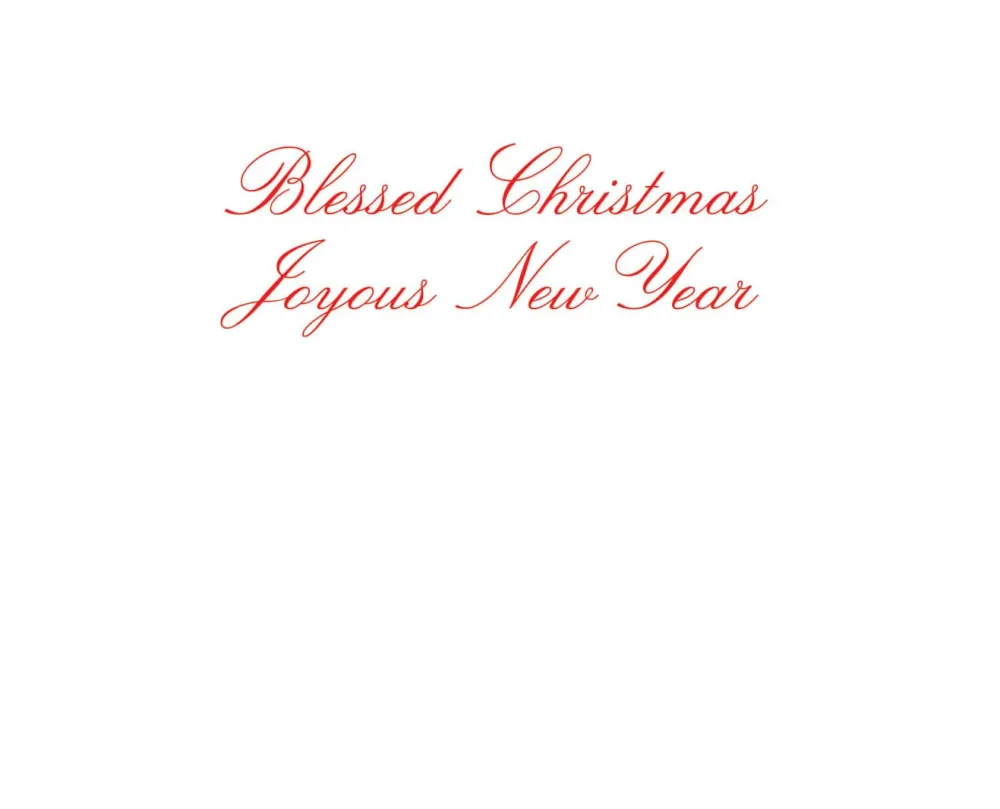 Caspari Christmas And Holiday Cards|Boxed Holiday Cards|Star and Creche Classic Boxed Christmas Cards - includes 15 cards & envelopes