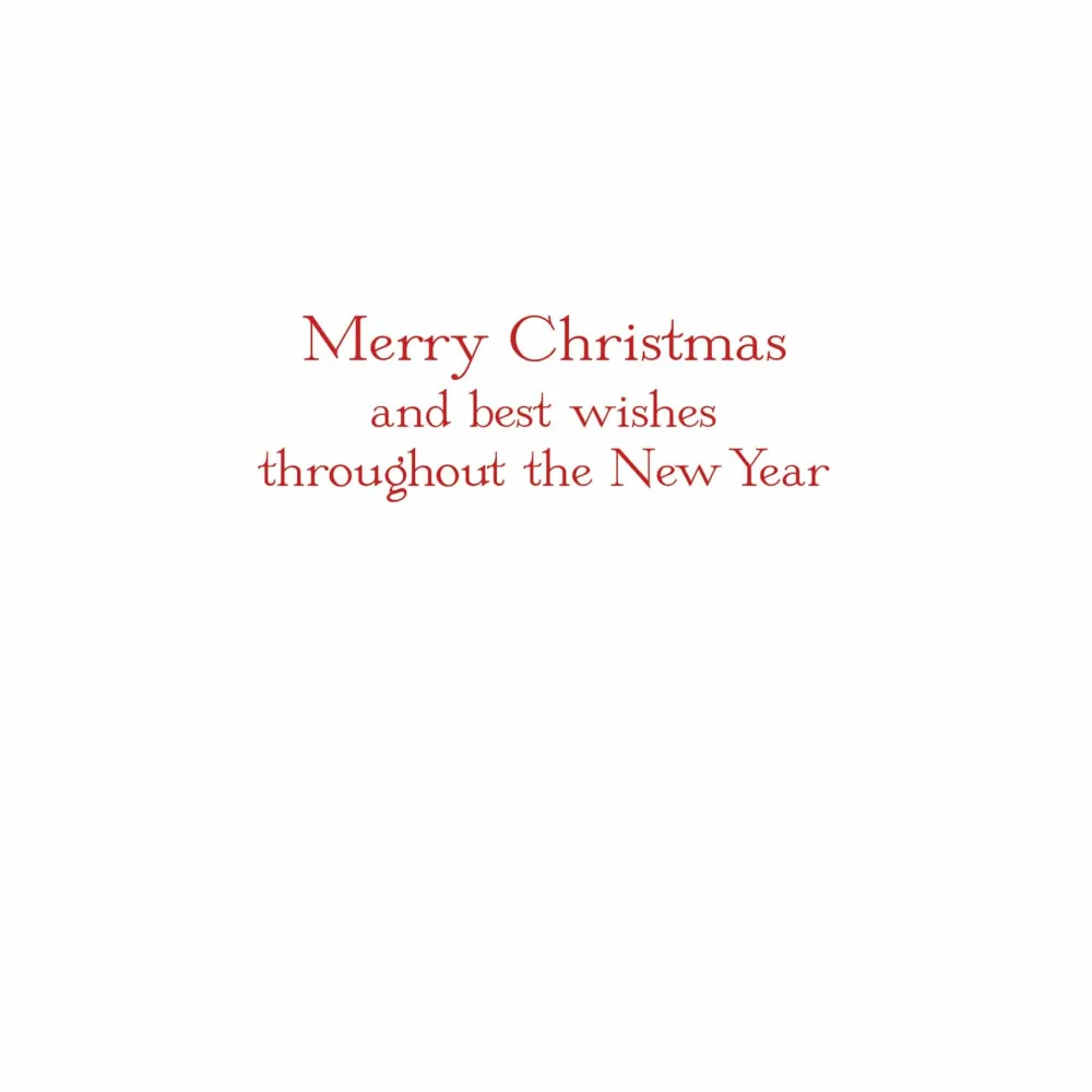 Caspari Christmas And Holiday Cards|Boxed Holiday Cards|Stars Large Boxed Christmas Cards - includes 15 cards & envelopes