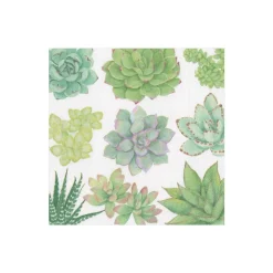 Caspari Paper Cocktail Napkins|Succulents Paper Cocktail Napkins - 20 Per Package