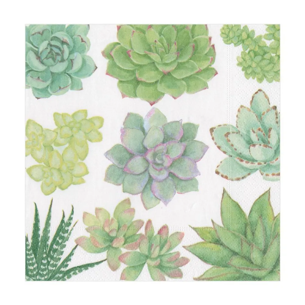 Caspari Paper Luncheon Napkins|Succulents Paper Luncheon Napkins - 20 Per Package