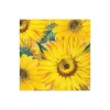 Caspari Bridal Shower|Boxed Cocktail Napkins|Sunflowers Boxed Paper Cocktail Napkins - 40 Per Box