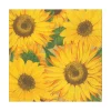 Caspari Bridal Shower|Paper Luncheon Napkins|Sunflowers Paper Luncheon Napkins - 20 Per Package