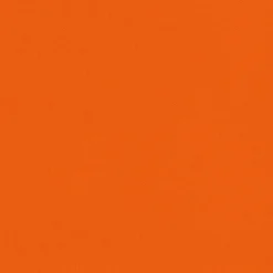 Caspari Paper Dinner Napkins|Tangerine Paper Linen Dinner Napkins - 12 Per Package