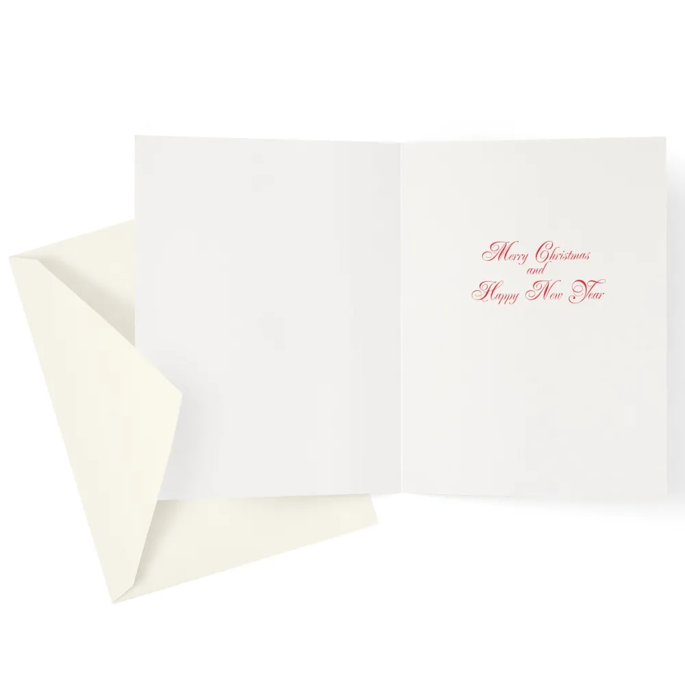 Caspari Christmas And Holiday Cards|Boxed Holiday Cards|Traditional Santa Large Boxed Christmas Cards - includes 15 cards & envelopes