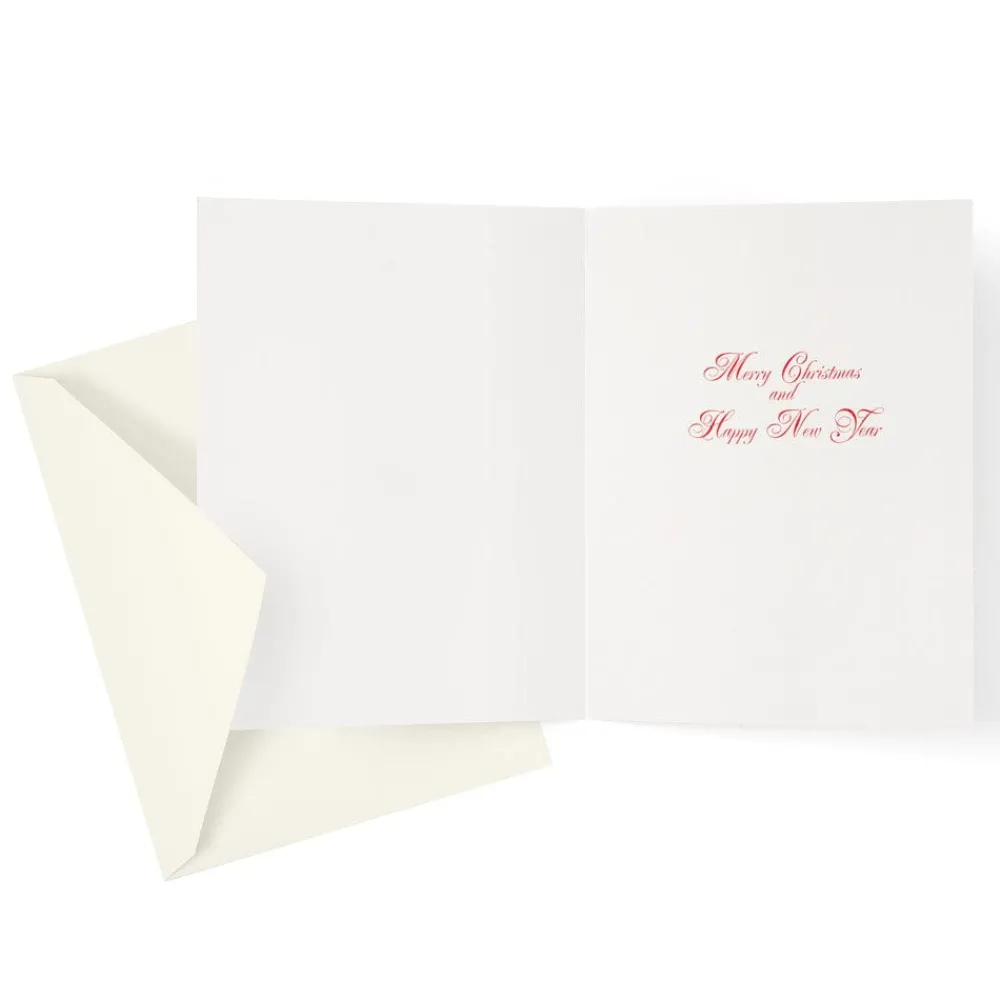 Caspari Christmas And Holiday Cards|Boxed Holiday Cards|Traditional Santa Large Boxed Christmas Cards - includes 15 cards & envelopes