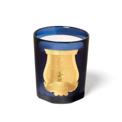 Trudon Home Fragrance & Candles|Classic Scented Candle - Salta