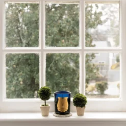 Trudon Home Fragrance & Candles|Classic Scented Candle - Salta