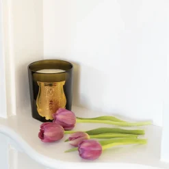 Trudon Home Fragrance & Candles|Classic Scented Candle - Odalisque