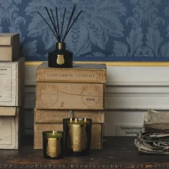 Trudon Christmas Decor|Home Fragrance & Candles|Diffuser - Ernesto