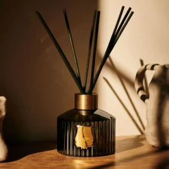 Trudon Home Fragrance & Candles|Diffuser Refill - Ernesto