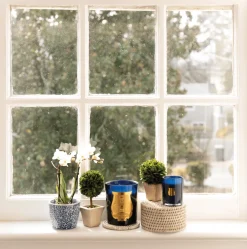 Trudon Home Fragrance & Candles|Petite Scented Candle - Maduraï