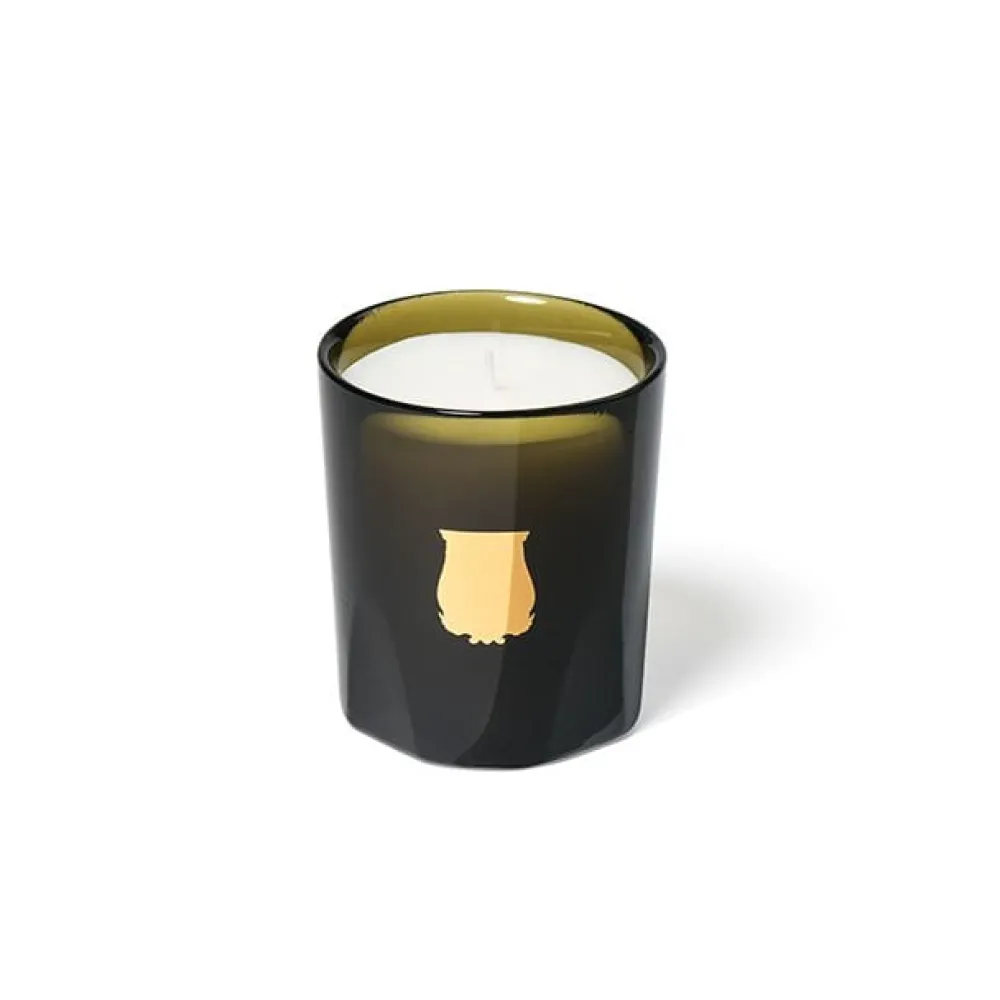 Trudon Christmas Decor|Home Fragrance & Candles|Petite Scented Candle - Ernesto