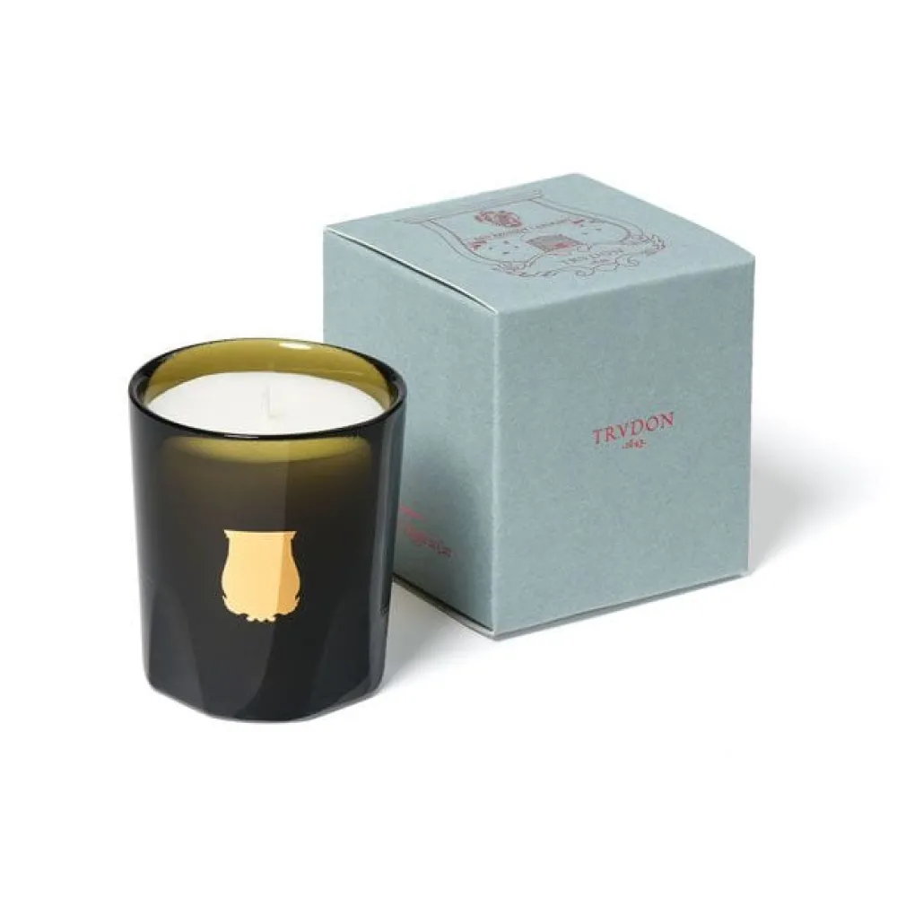 Trudon Christmas Decor|Home Fragrance & Candles|Petite Scented Candle - Ernesto