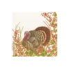 Caspari Thanksgiving|Boxed Cocktail Napkins|Turkey And Berries Boxed Cocktail Napkins - 40 Per Box
