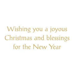 Caspari Christmas And Holiday Cards|Boxed Holiday Cards|Virgin And Child Classic Boxed Christmas Cards - includes 15 cards & envelopes