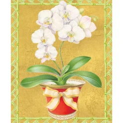 Caspari Christmas And Holiday Cards|Boxed Holiday Cards|White Orchid In Red Pot Petite Boxed Christmas Cards - includes 15 cards & envelopes