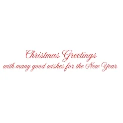 Caspari Christmas And Holiday Cards|Boxed Holiday Cards|White Pine And Red Bow Wreath Classic Boxed Christmas Cards - includes 15 cards & envelopes