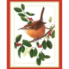 Caspari Christmas And Holiday Cards|Boxed Holiday Cards|Wren and Branch Classic Boxed Christmas Cards - includes 15 cards & envelopes