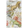 Caspari Paper Guest Towels|Zodiac Guest Towels - includes 15 Guest Towels